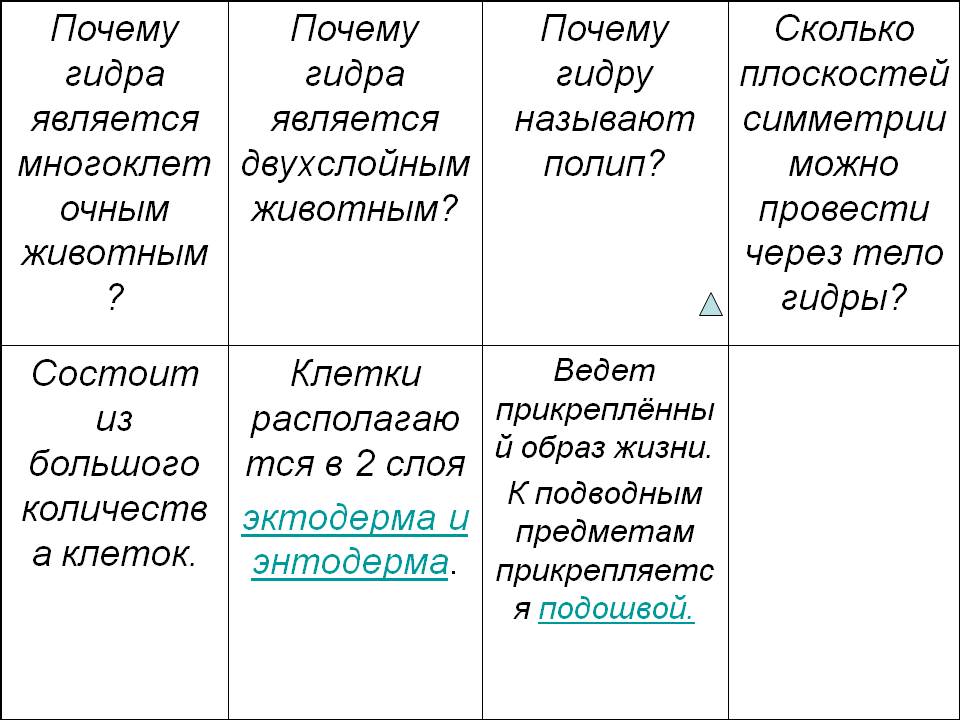Как зайти в кракен через айфон