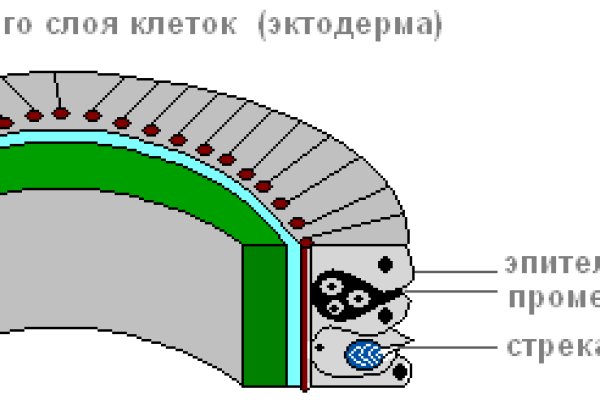 Кракен вход krakens13 at