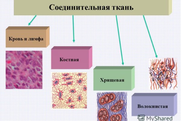 Кракен шоп ссылки