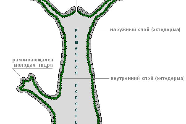 Кракен почему пользователь не найден