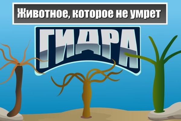 Кракена net